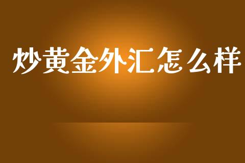 炒黄金外汇怎么样_https://wap.fcdydaikuan.com_金融机构_第1张