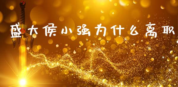 盛大侯小强为什么离职_https://wap.fcdydaikuan.com_金融机构_第1张