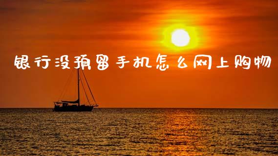 银行没预留手机怎么网上购物_https://wap.fcdydaikuan.com_理财顾问_第1张