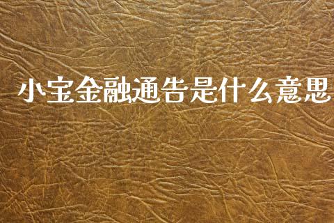 小宝金融通告是什么意思_https://wap.fcdydaikuan.com_国际投资_第1张