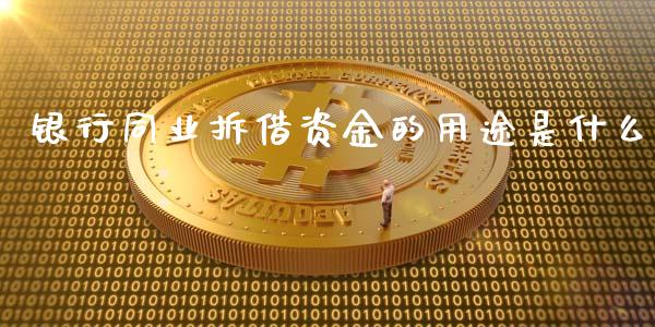 银行同业拆借资金的用途是什么_https://wap.fcdydaikuan.com_国际投资_第1张