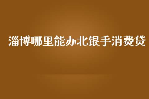淄博哪里能办北银手消费贷_https://wap.fcdydaikuan.com_新股数据_第1张