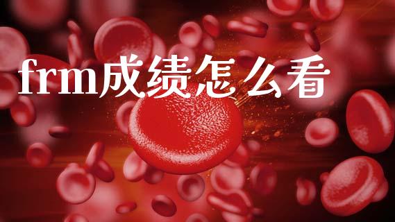 frm成绩怎么看_https://wap.fcdydaikuan.com_投资策略_第1张