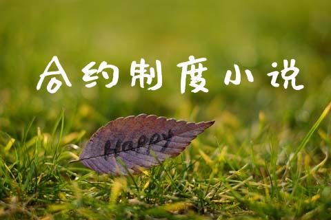 合约制度小说_https://wap.fcdydaikuan.com_国际投资_第1张