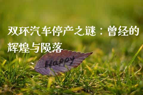 双环汽车停产之谜：曾经的辉煌与陨落_https://wap.fcdydaikuan.com_金融机构_第1张