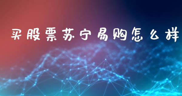 买股票苏宁易购怎么样_https://wap.fcdydaikuan.com_国际投资_第1张