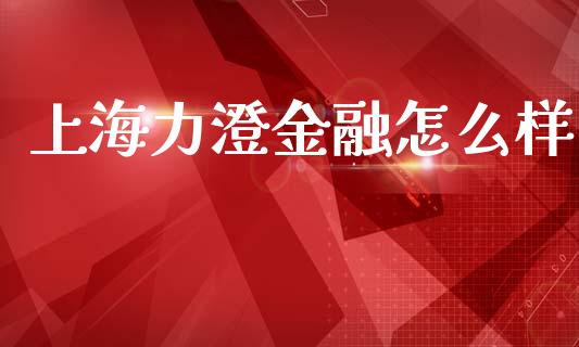 上海力澄金融怎么样_https://wap.fcdydaikuan.com_理财顾问_第1张