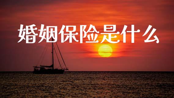 婚姻保险是什么_https://wap.fcdydaikuan.com_金融机构_第1张