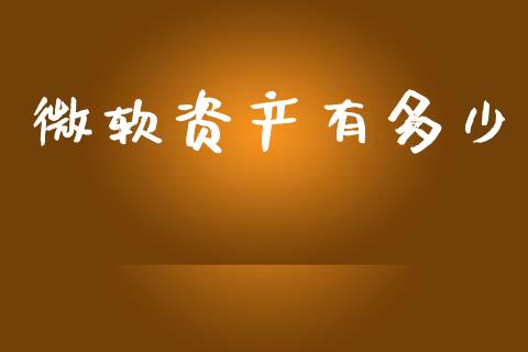 微软资产有多少_https://wap.fcdydaikuan.com_金融机构_第1张