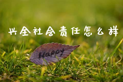 兴全社会责任怎么样_https://wap.fcdydaikuan.com_期货品种_第1张