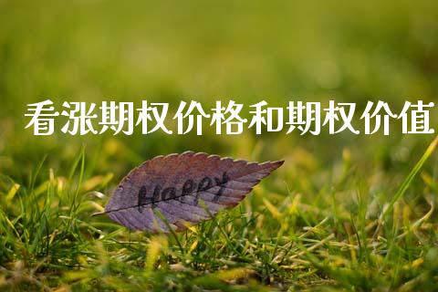 看涨期权价格和期权价值_https://wap.fcdydaikuan.com_理财顾问_第1张