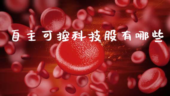 自主可控科技股有哪些_https://wap.fcdydaikuan.com_国际投资_第1张