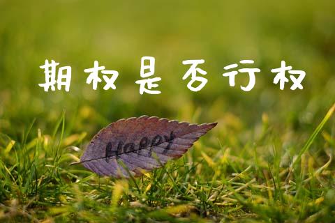 期权是否行权_https://wap.fcdydaikuan.com_理财顾问_第1张