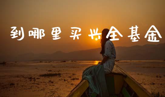 到哪里买兴全基金_https://wap.fcdydaikuan.com_新股数据_第1张