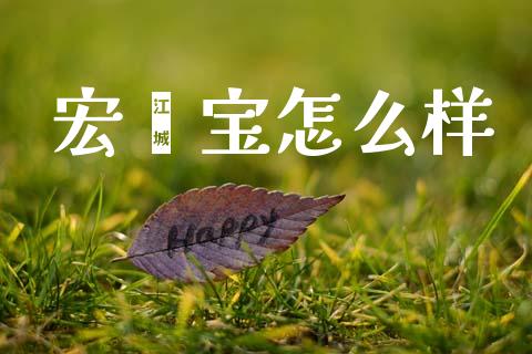 宏鑫宝怎么样_https://wap.fcdydaikuan.com_新股数据_第1张