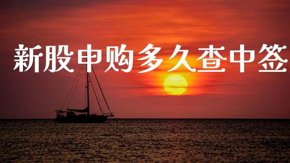 新股申购多久查中签_https://wap.fcdydaikuan.com_金融机构_第1张