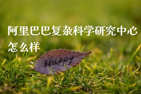 阿里巴巴复杂科学研究中心怎么样_https://wap.fcdydaikuan.com_金融机构_第1张