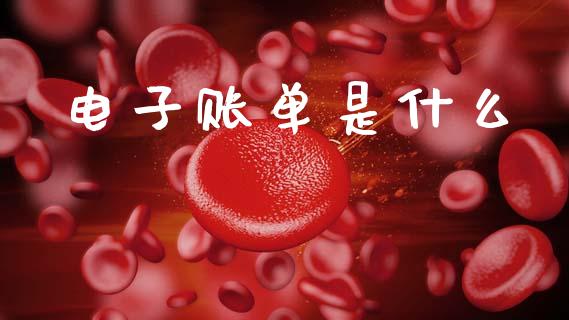 电子账单是什么_https://wap.fcdydaikuan.com_投资策略_第1张