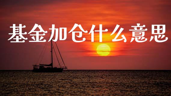 基金加仓什么意思_https://wap.fcdydaikuan.com_新股数据_第1张