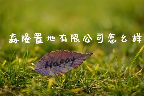 森隆置地有限公司怎么样_https://wap.fcdydaikuan.com_新股数据_第1张
