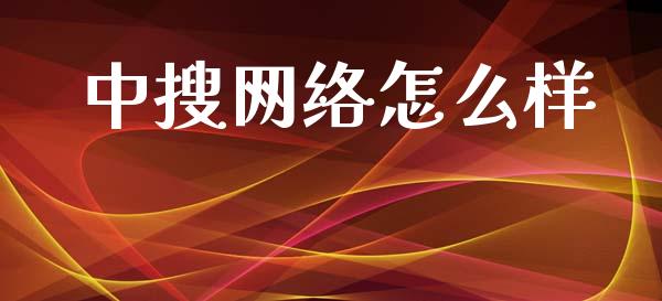 中搜网络怎么样_https://wap.fcdydaikuan.com_投资策略_第1张