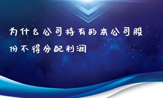 为什么公司持有的本公司股份不得分配利润_https://wap.fcdydaikuan.com_金融机构_第1张