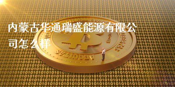 内蒙古华通瑞盛能源有限公司怎么样_https://wap.fcdydaikuan.com_理财顾问_第1张