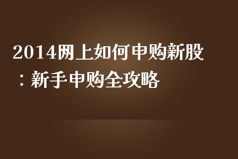 2014网上如何申购新股：新手申购全攻略_https://wap.fcdydaikuan.com_国际投资_第1张