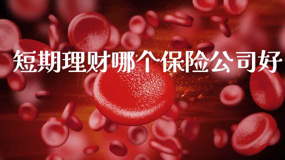 短期理财哪个保险公司好_https://wap.fcdydaikuan.com_期货品种_第1张