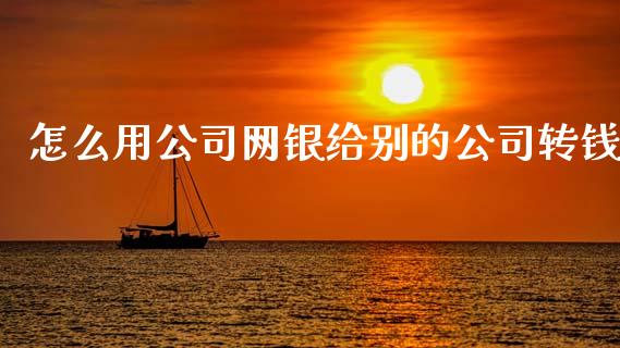 怎么用公司网银给别的公司转钱_https://wap.fcdydaikuan.com_金融机构_第1张