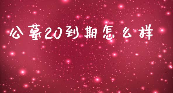 公墓20到期怎么样_https://wap.fcdydaikuan.com_投资策略_第1张
