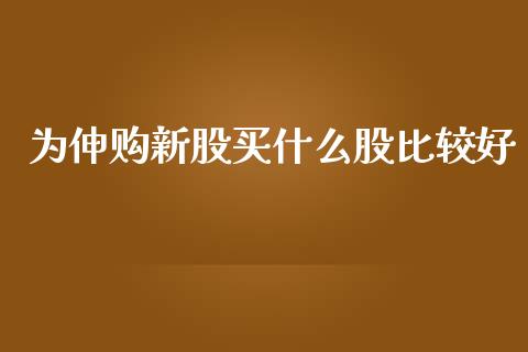 为伸购新股买什么股比较好_https://wap.fcdydaikuan.com_投资策略_第1张