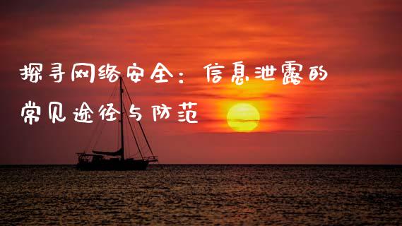 探寻网络安全：信息泄露的常见途径与防范_https://wap.fcdydaikuan.com_投资策略_第1张