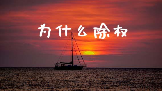 为什么除权_https://wap.fcdydaikuan.com_国际投资_第1张