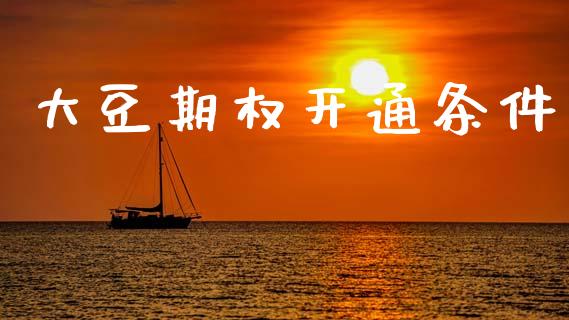 大豆期权开通条件_https://wap.fcdydaikuan.com_理财顾问_第1张
