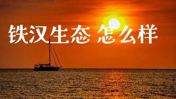 铁汉生态 怎么样_https://wap.fcdydaikuan.com_理财顾问_第1张