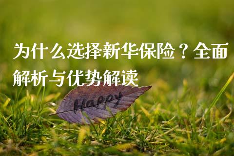 为什么选择新华保险？全面解析与优势解读_https://wap.fcdydaikuan.com_金融机构_第1张