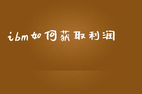 ibm如何获取利润_https://wap.fcdydaikuan.com_期货品种_第1张