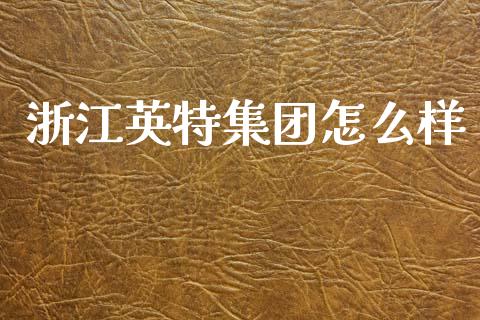 浙江英特集团怎么样_https://wap.fcdydaikuan.com_投资策略_第1张