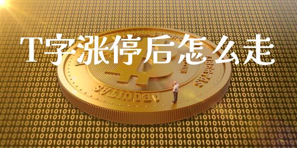 T字涨停后怎么走_https://wap.fcdydaikuan.com_期货品种_第1张