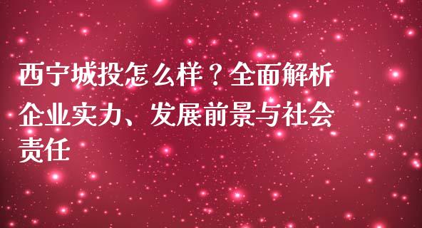西宁城投怎么样？全面解析企业实力、发展前景与社会责任_https://wap.fcdydaikuan.com_国际投资_第1张