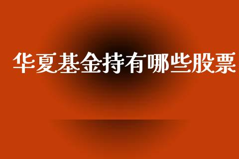 华夏基金持有哪些股票_https://wap.fcdydaikuan.com_期货品种_第1张