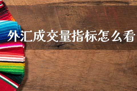 外汇成交量指标怎么看_https://wap.fcdydaikuan.com_国际投资_第1张