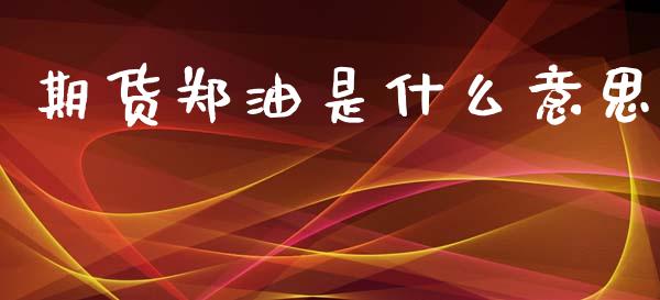期货郑油是什么意思_https://wap.fcdydaikuan.com_投资策略_第1张