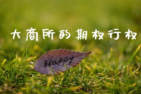 大商所的期权行权_https://wap.fcdydaikuan.com_理财顾问_第1张