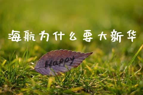 海航为什么要大新华_https://wap.fcdydaikuan.com_期货品种_第1张