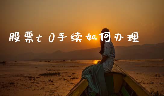 股票t 0手续如何办理_https://wap.fcdydaikuan.com_新股数据_第1张