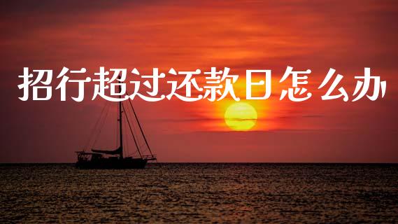 招行超过还款日怎么办_https://wap.fcdydaikuan.com_新股数据_第1张