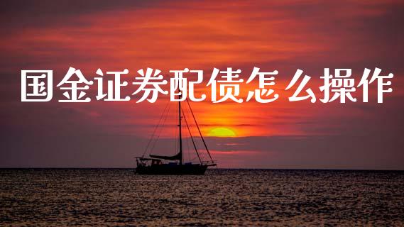 国金证券配债怎么操作_https://wap.fcdydaikuan.com_期货品种_第1张