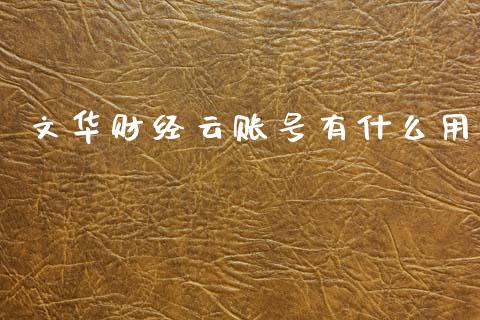 文华财经云账号有什么用_https://wap.fcdydaikuan.com_国际投资_第1张